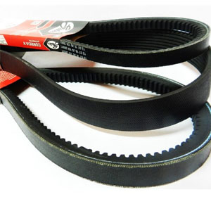Bandas y correas